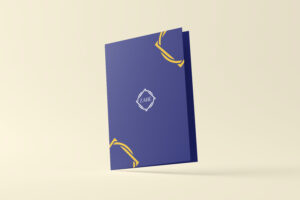 Zabe file design by Brand Impressions