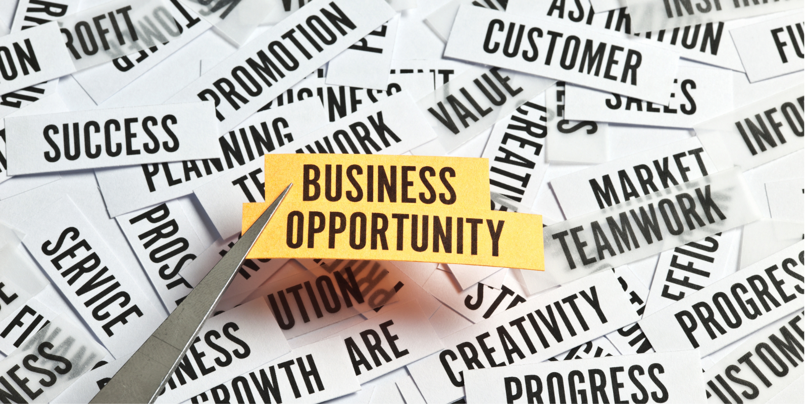 Business & marketing opportunity - brand impressions